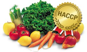 haccp